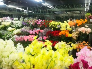 市場より新鮮な切花が、月・水・金で入荷します