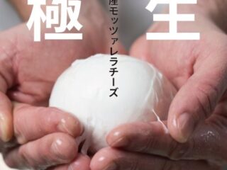 手作りモッツァレラチーズ